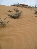 Bartolome Island 06-12-2008-60.jpg