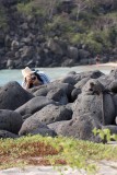 San Cristobal Island 06-08-2008-164.jpg