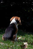 Lucy 2009-37.jpg
