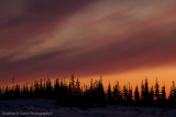 Churchill Tundra-51.jpg