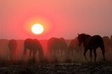 Hot and dusty