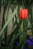 IMG_3864.jpg