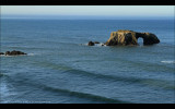 IMG_3960.jpg