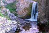 IMG_4591.jpg
