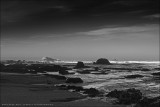 IMG_4624.jpg
