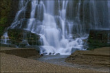 IMG_4636.jpg