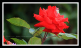IMG_4790.jpg