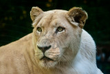 Animaux _069.jpg