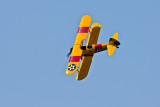 La Ferte Alais 2010 _235.JPG