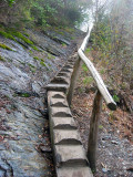 Mt LeConte0008.JPG