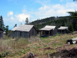 Mt LeConte0025.JPG