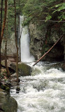 Shannon Brook at the falls 3.jpg