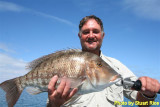 IMG_4237 caught near Buderim Island.jpg