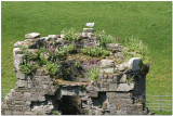 Beaumaris Castle  0853.jpg