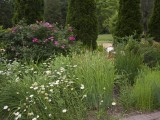 IMG_1160.jpg