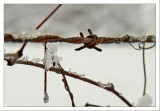 Feb 6, 2010<br>Fence Top