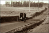 buggy sepia web.jpg