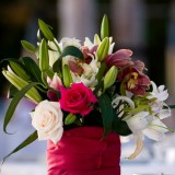 *Rose & Ted, June 20th, 2009, Zama Beach Club