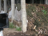 The compost sheds