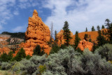 Red Canyon