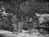 Dimage 7 IR Sample.jpg