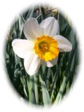 Spring...