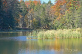 IMG_5798_edited-1.jpg