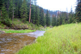 Spearfish Creek Black Hills SD