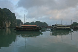 Halong Bay Morning