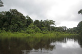 Looking down the oxbow lake.