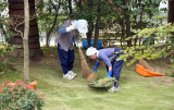 Cleaning gardens at Ryoanji Temple