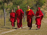 Monks from Chhimi Lhakhang Monastery