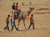 Young Men Moving Camel