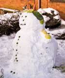 Carrot head snowman