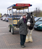 Rides around the Cathedral with Patch and his owner.