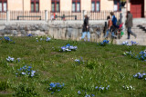 Skansen Psk