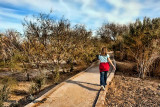 we decided to take a walk at the wetlands...