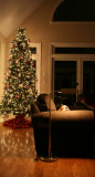 FrankAndTheChristmasTreeLoRes.jpg