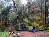 Alligator Gorge3.jpg