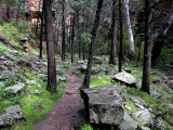 Alligator Gorge6.jpg