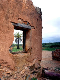 Kanyaka Ruins2.jpg