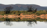 Port Augusta Reflections.jpg