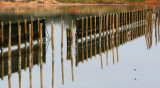 Port Augusta Reflections2.jpg