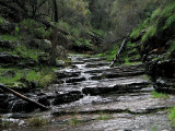 The Terraces Alligator Gorge2.jpg