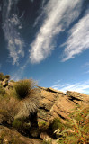 Wilpena Pound Hike3.jpg