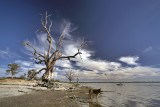 Banks of Lake Bonney