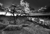 Heading Cliffs_bw_sunset.