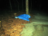 tarp for aid