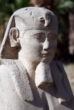 Luxor_10_033.jpg