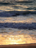 S_IMG_5420.jpg